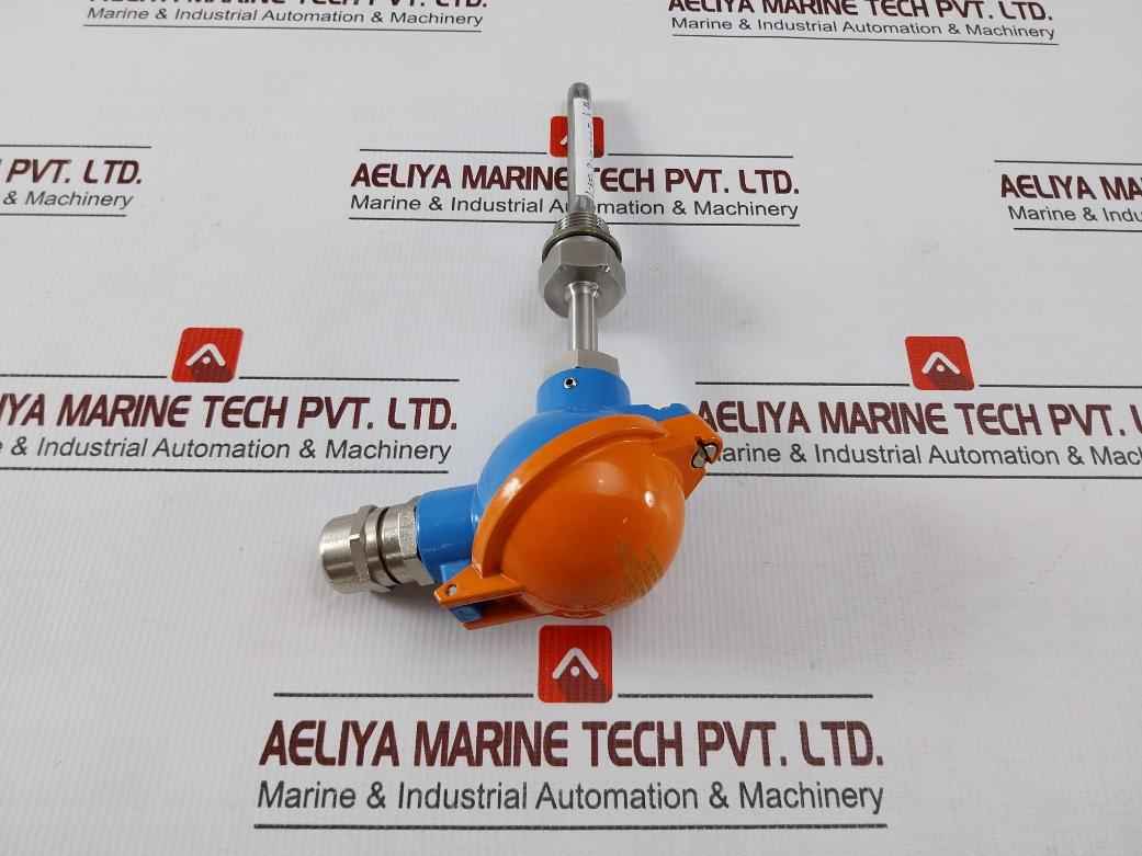 Desmi Ubmr1 Resistor Temperature Sensor 1xpt100 10/100mm Aisi316 G1/2"
