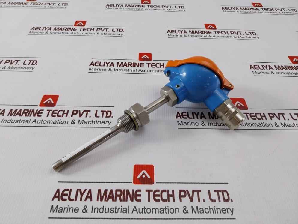 Desmi Ubmr1 Resistor Temperature Sensor 1xpt100 10/100mm Aisi316 G1/2"