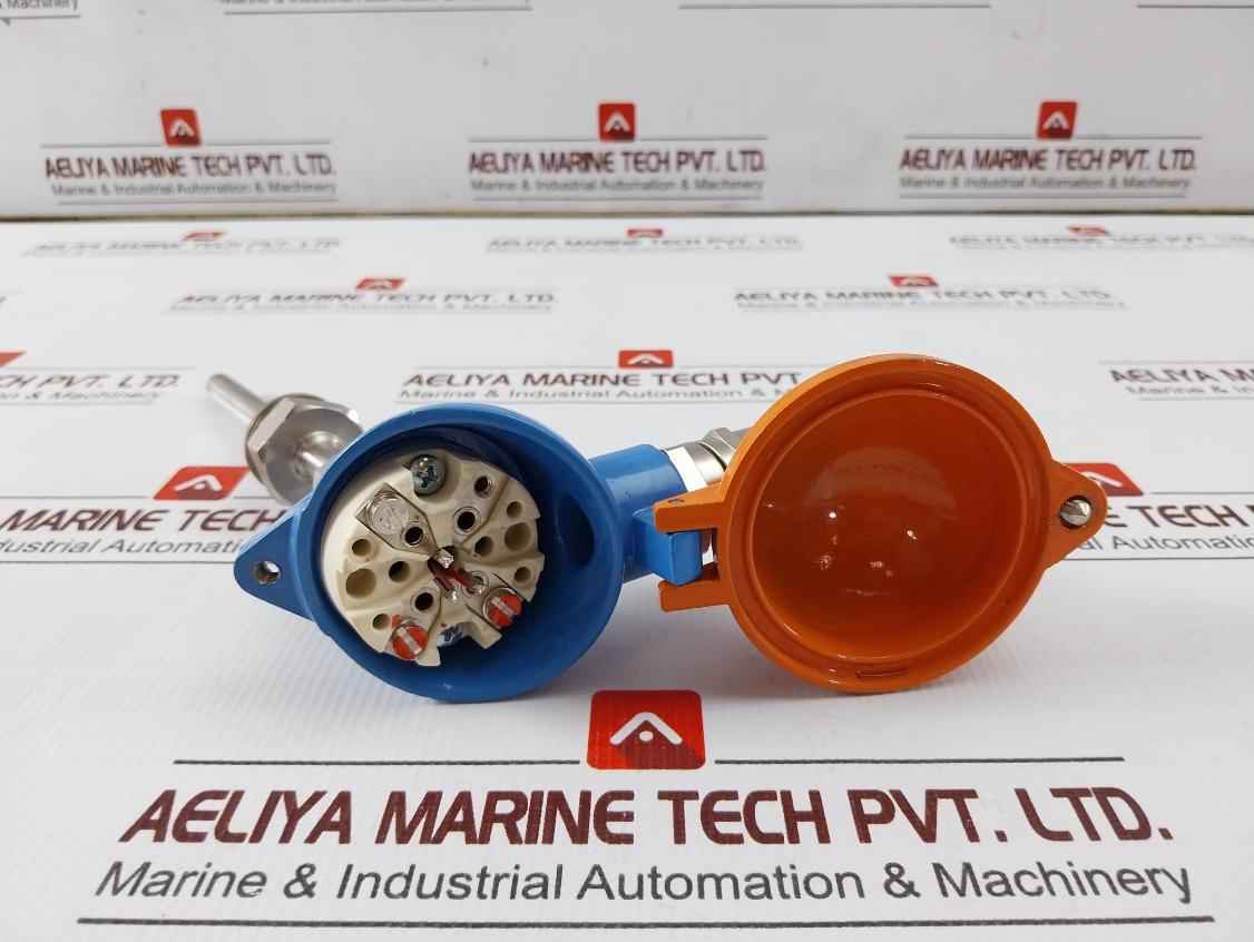 Desmi Ubmr1 Resistor Temperature Sensor 1xpt100 10/100mm Aisi316 G1/2"