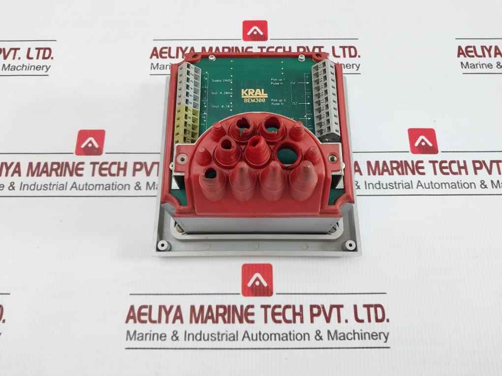 Display Processing Unit Bem300 Kral 24Vdc 4-20Ma