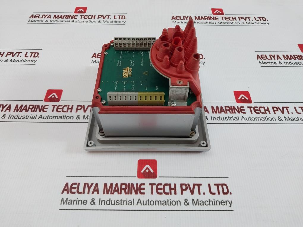 Display Processing Unit Bem300 Kral 24Vdc 4-20Ma