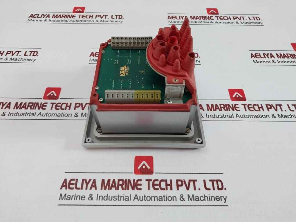 Display Processing Unit Bem300 Kral 24Vdc 4-20Ma