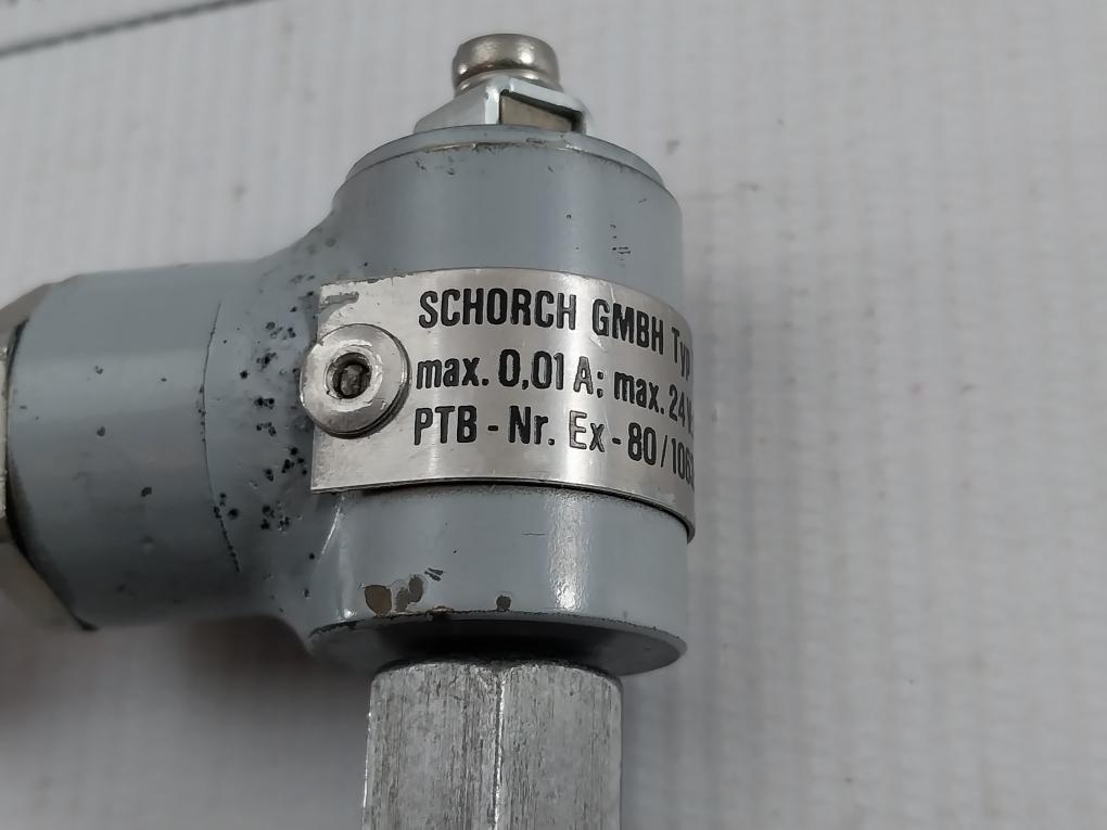 Dittmer Air Control Temperature Sensor 1Xpt100 206D