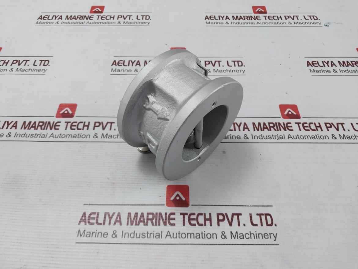 Dk Valve Wcb/B6 2/Nbr Cryogenic Dual Plate Check Valve 2" 150 Lb