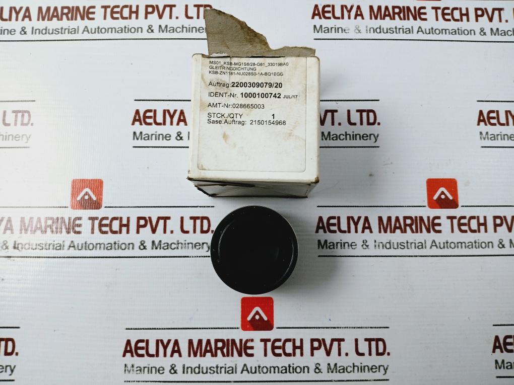Eagleburgmann 1000100742 Mechanical Seal/Gleitringdichtung 2200309079/20