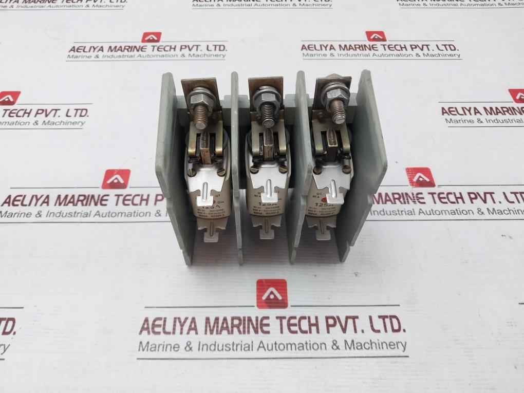 Efen Nh00 Fuse Holder With Fuses 500V~ Vde 0636/21 35110150