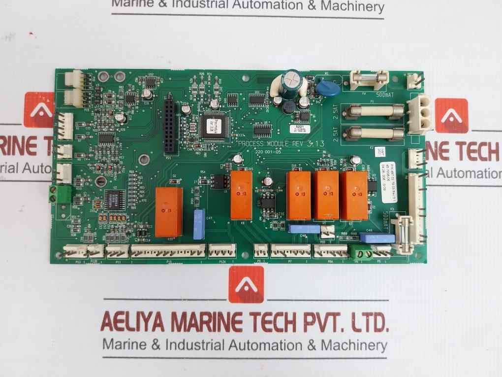 Electrolux Process Pcb Module 220 001-05