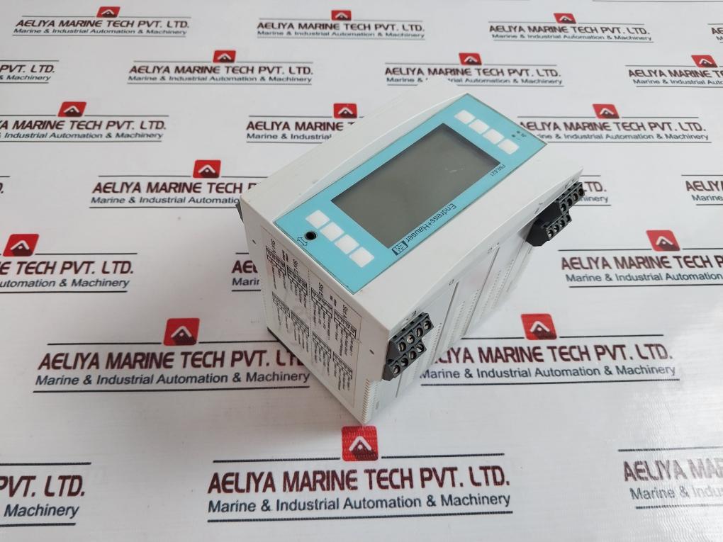 Endress+Hauser FML621 Vibronic Density Calculator 24V