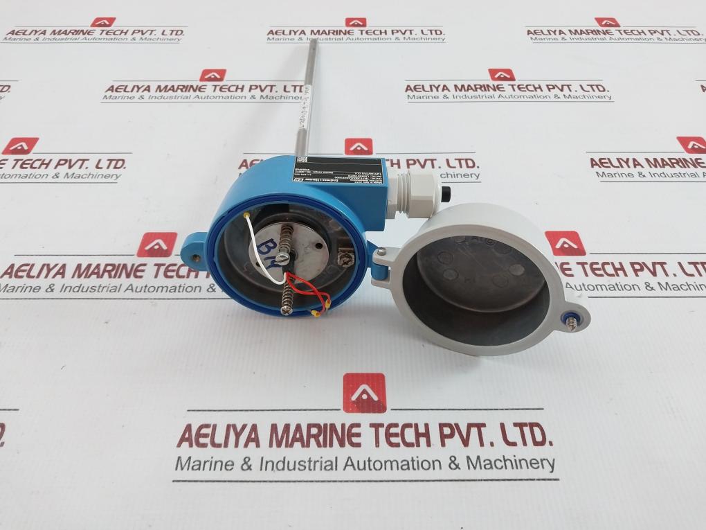 Endress+Hauser Rtd Thermometer Tr11-abacasxf2000