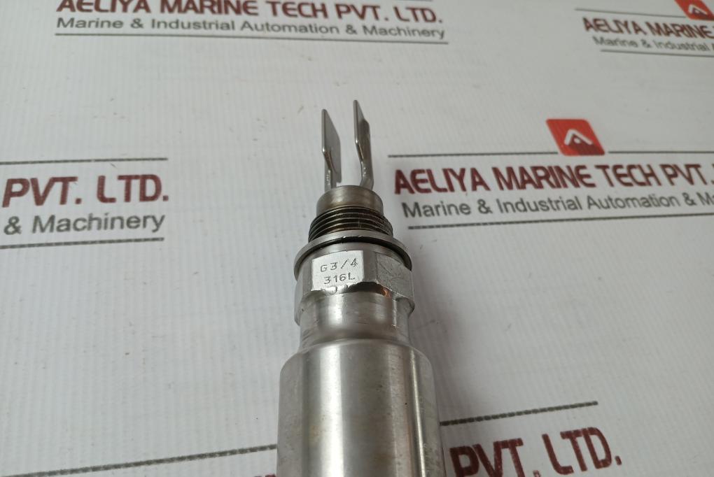 Endress+Hauser Ftl50-ggq2Aa8N3A Liquiphant M Vibronic Point Level Detector
