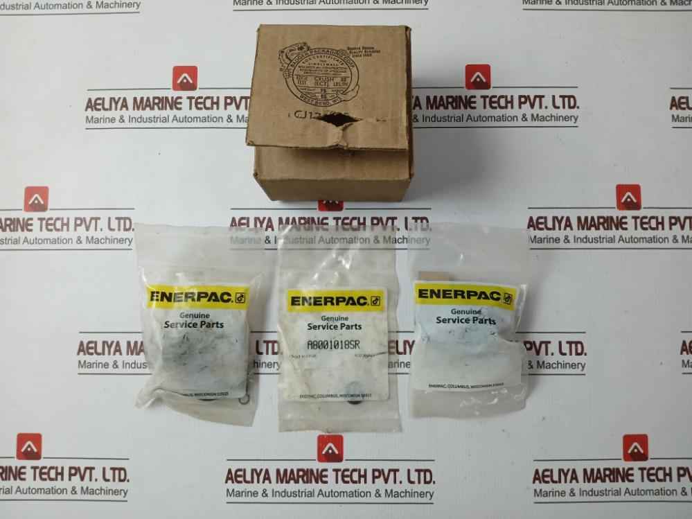 Enerpac Rsm200K50 Standard Repair Kit A8001018Sr