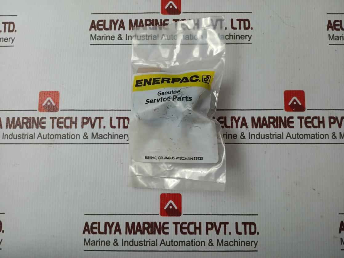 Enerpac Rsm200K50 Standard Repair Kit A8001018Sr