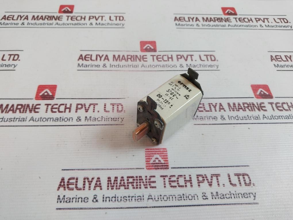 Ernst 00-125A Fuse Gl-gi 500V~ 00-125A