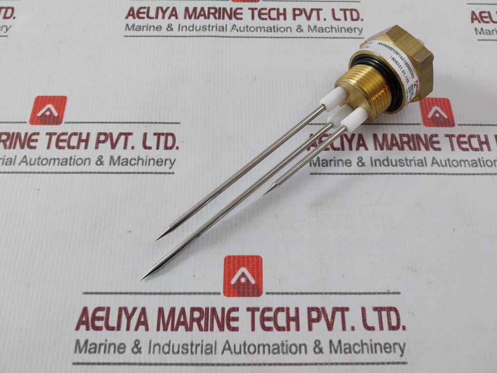 Fischer Nk06300100160180N0082 Sensor Transmitter