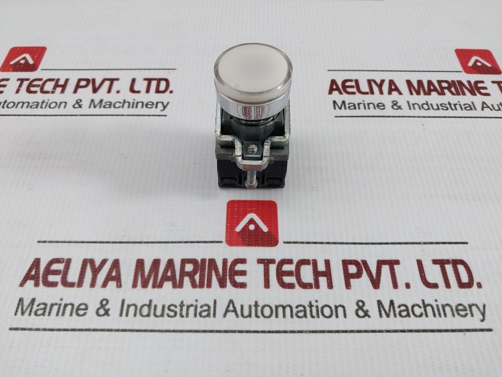 Flush Push Button A600-q600 240V 3A Schneider Electric Zbe-101