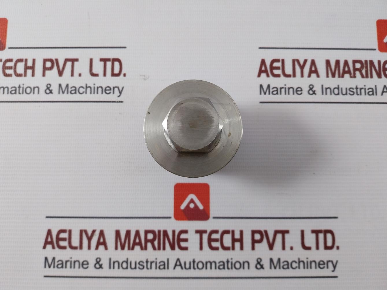 Fmc 243102852000 Ball Retainer Plug