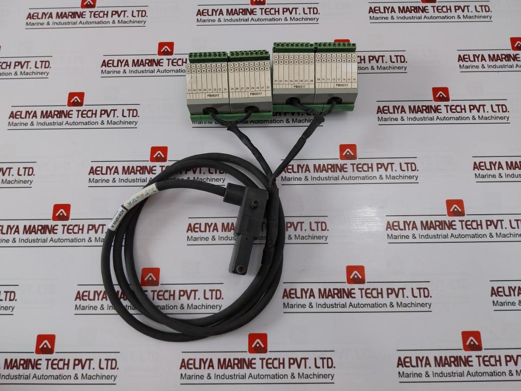 FOXBORO AD916PW CablePlus 1.5 Meter W/ UMK-SE 11,25-2 Dual Terminal Block SF0923