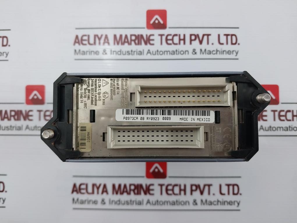 Foxboro Fem100 I/A Series Fieldbus Expansion Unit 24Vdc