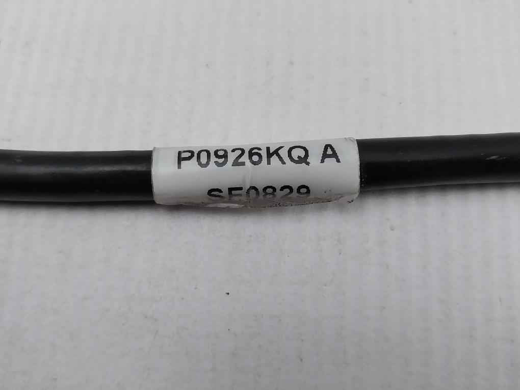 Foxboro P0926Kq Fpm Power Cable 2 Meter 300V