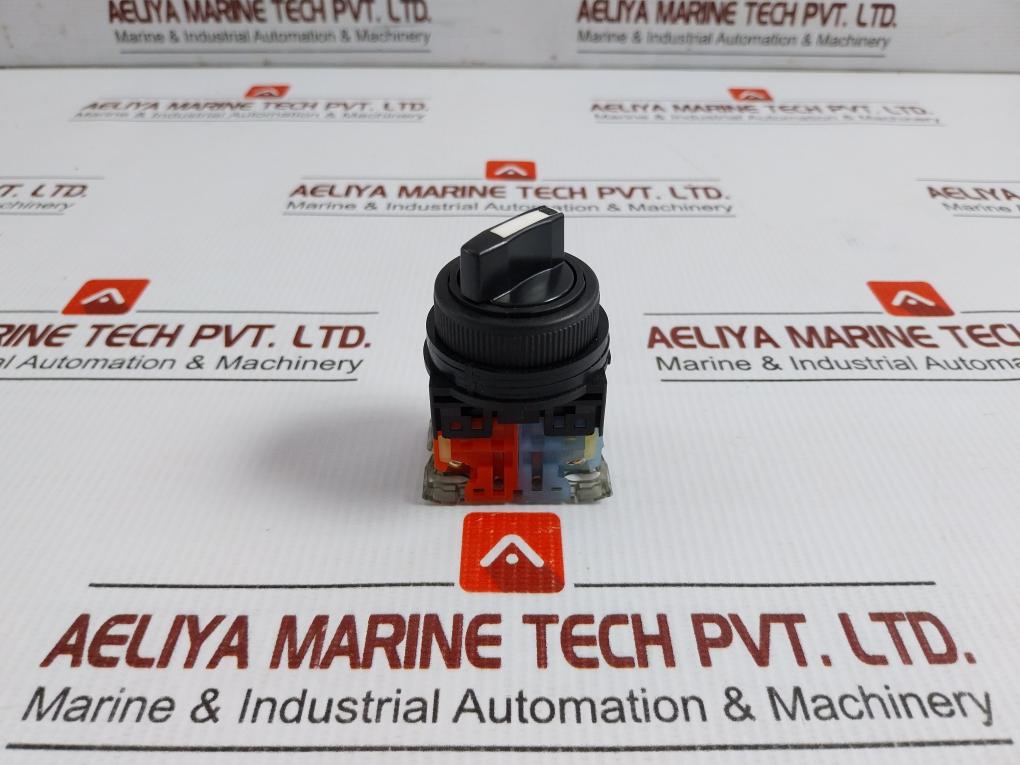 Fuji-Electric-Selector-Switch-250v-6a-Ar30pr-2-4