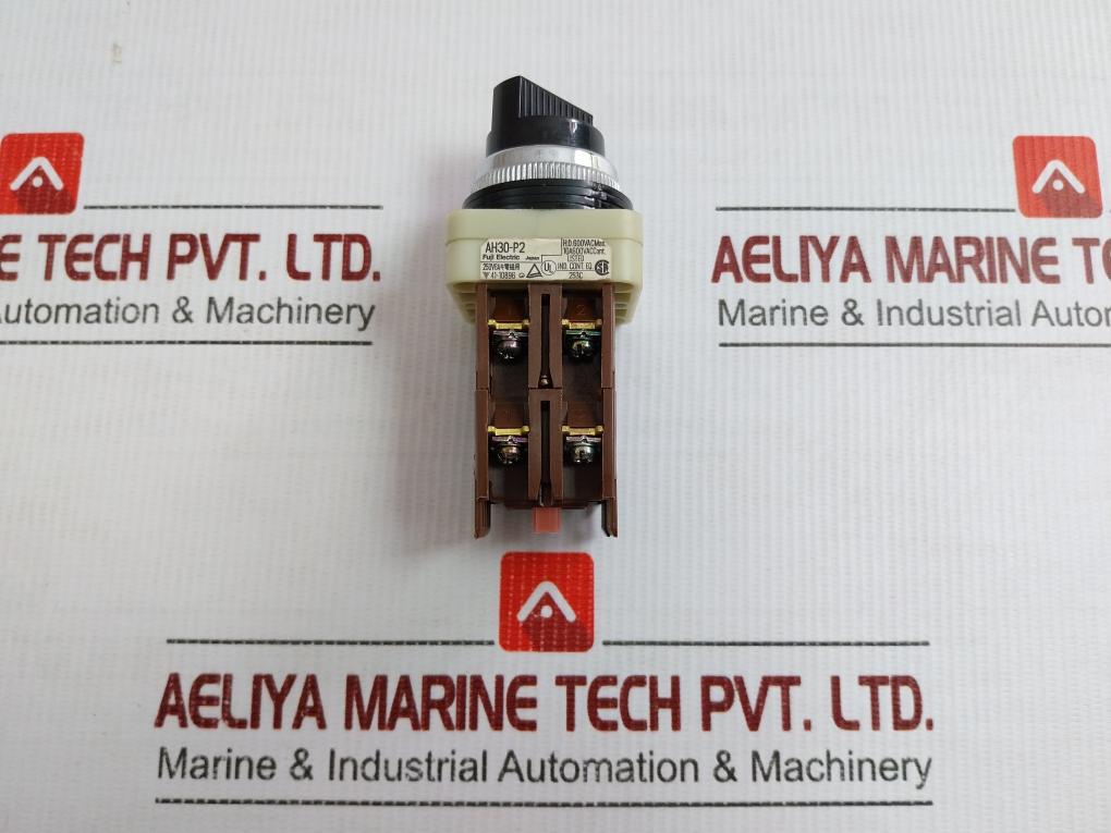 Fuji Electric Command Switch 250V 6A Ah30-p2