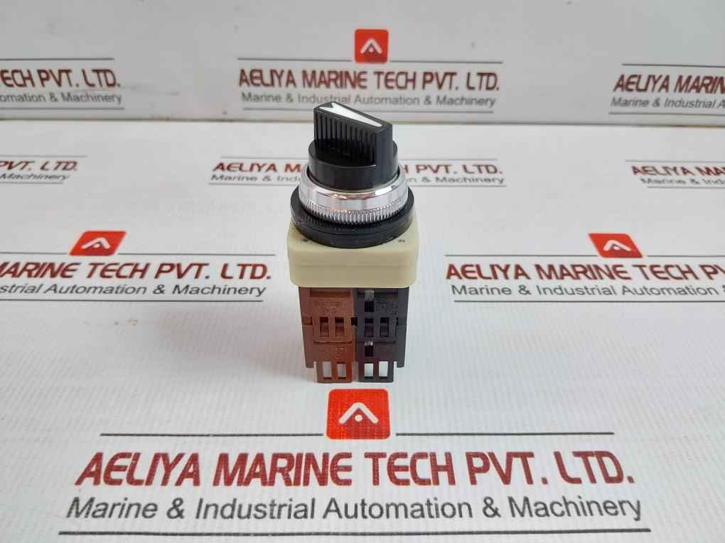 Fuji Electric Command Switch 250V 6A Ah30-p2