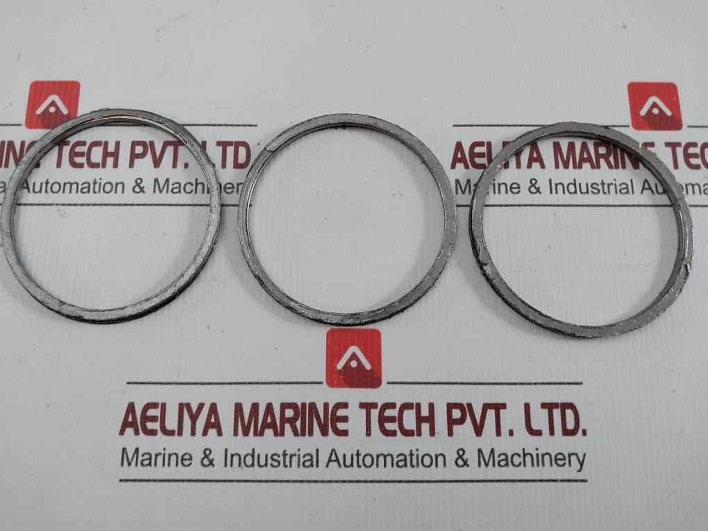 Gasket Ring Kit P16036692 Spirax Sarco