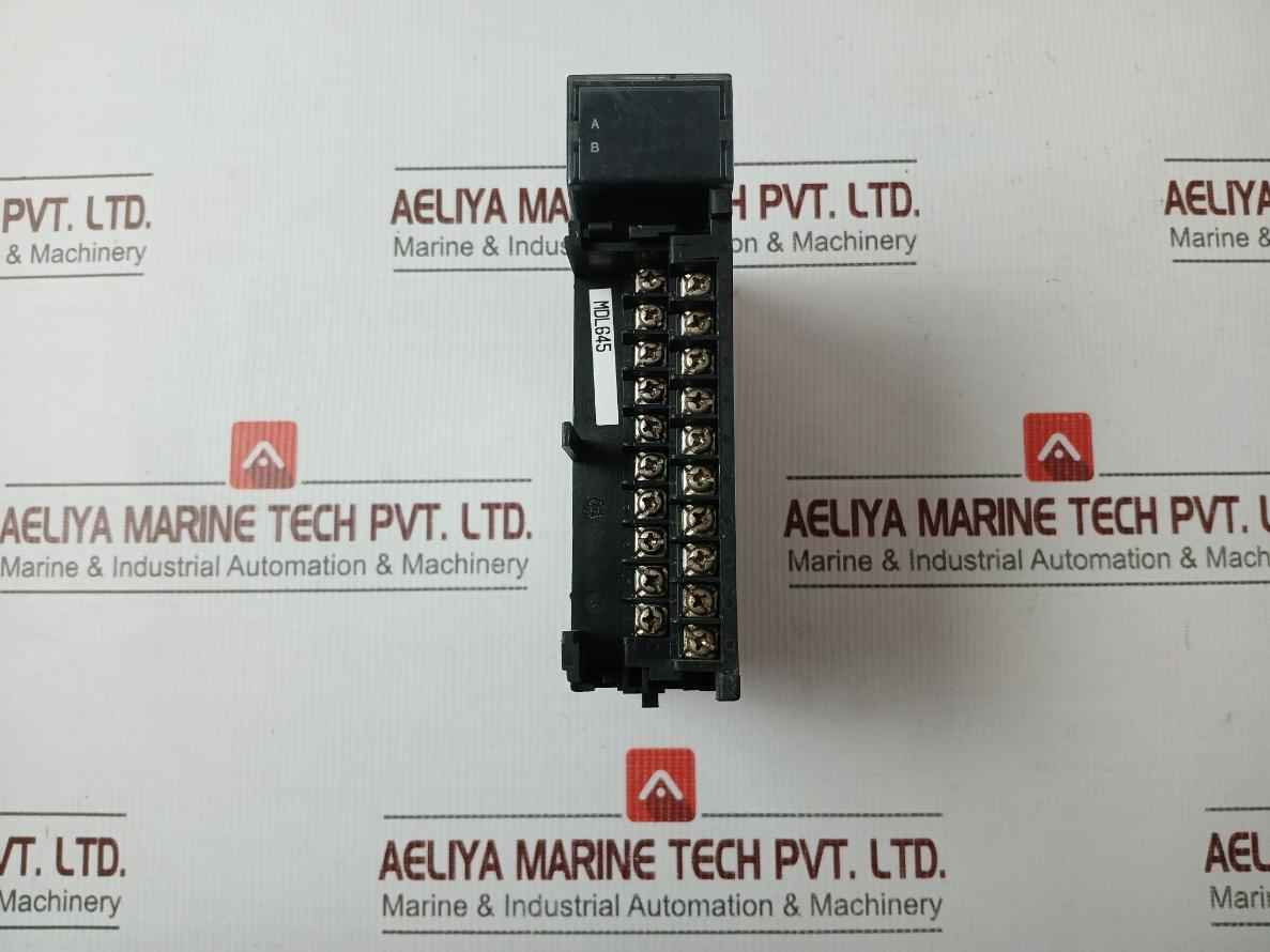 Ge Fanuc Ic693Mdl645E 16 Point Positive/Negative Logic Input Module 24Vdc