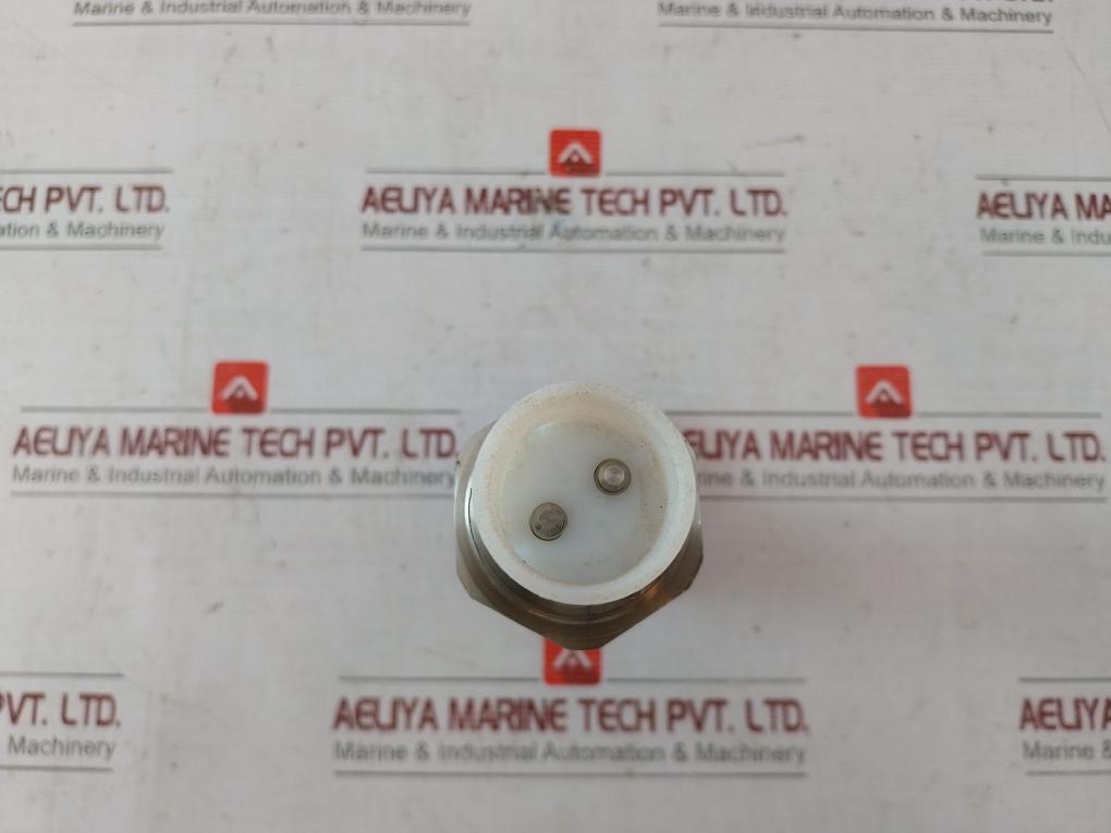 Gestra Lrg 12-1 Conductivity Electrode Dn R 1 1/4 Inch 10 Bar Ip65