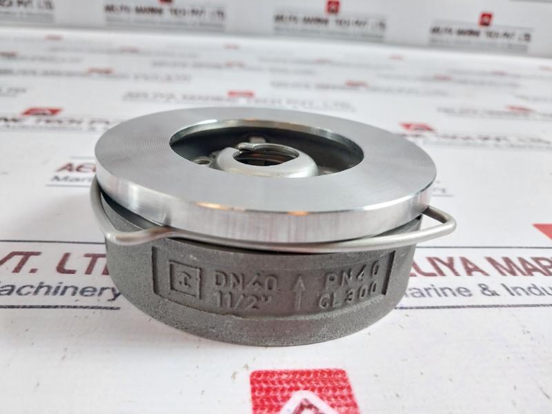 Gestra Rk 76 Non-return Check Valve Dn 40 Pn 40 1.4107/ca15
