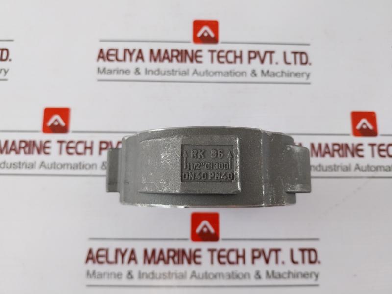 Gestra Rk 86 Check Valve 1 1/2" Cl 300