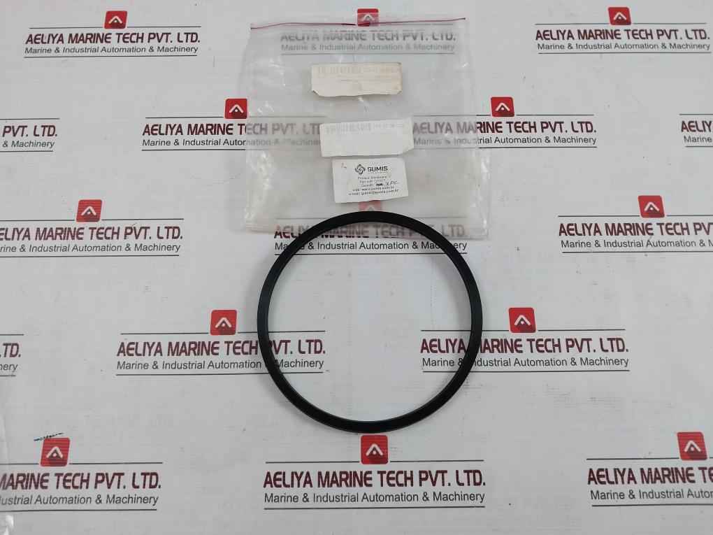 Gumis Gy/377 Brine Seal 762.20.06.002