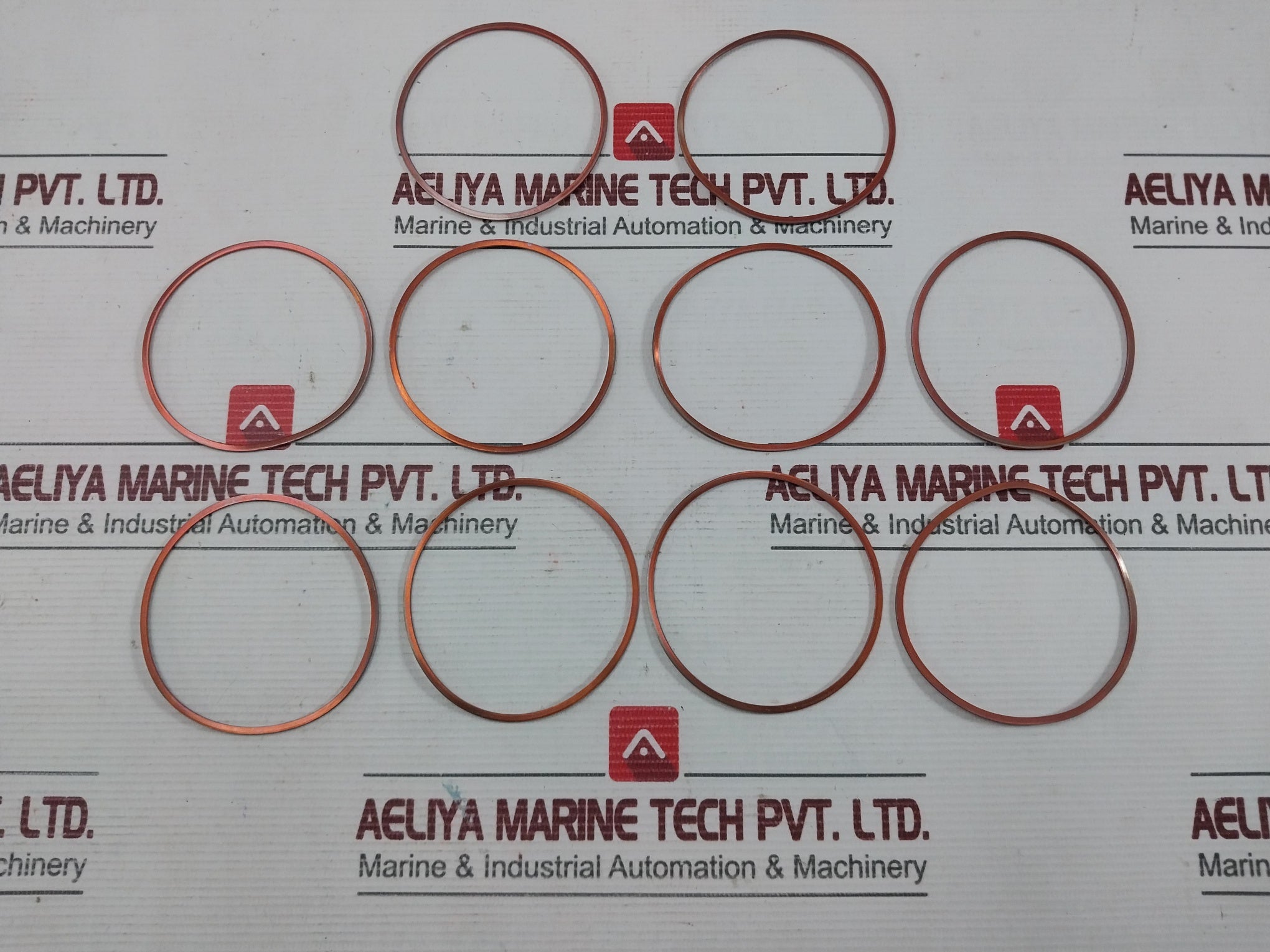 H1-25-594511 Sealing Ring Hatlapa