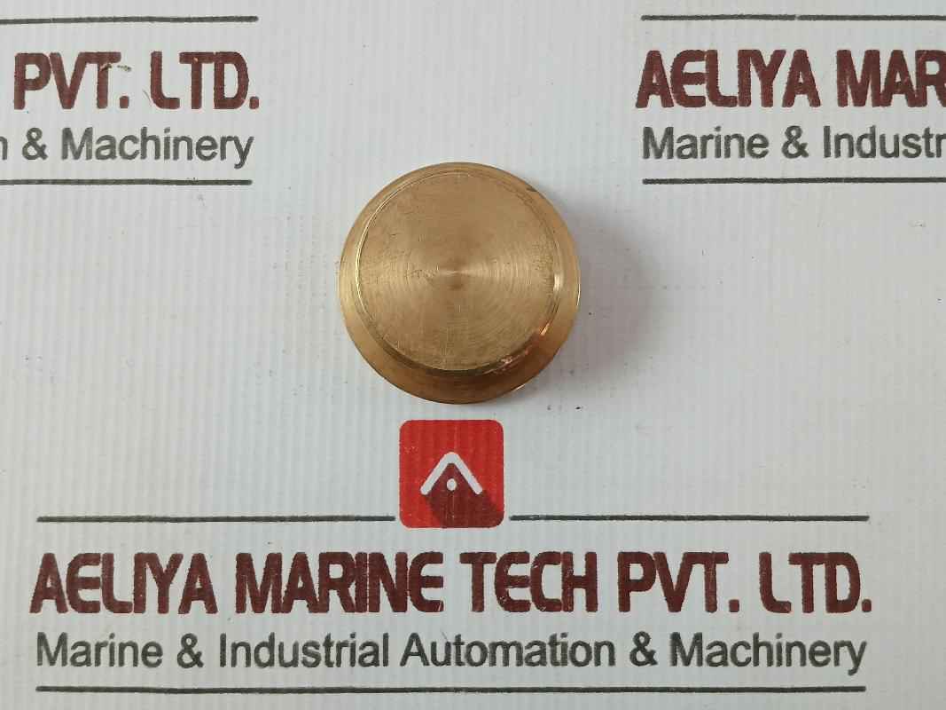 Hamworthy 22921-001 Bearing Plug