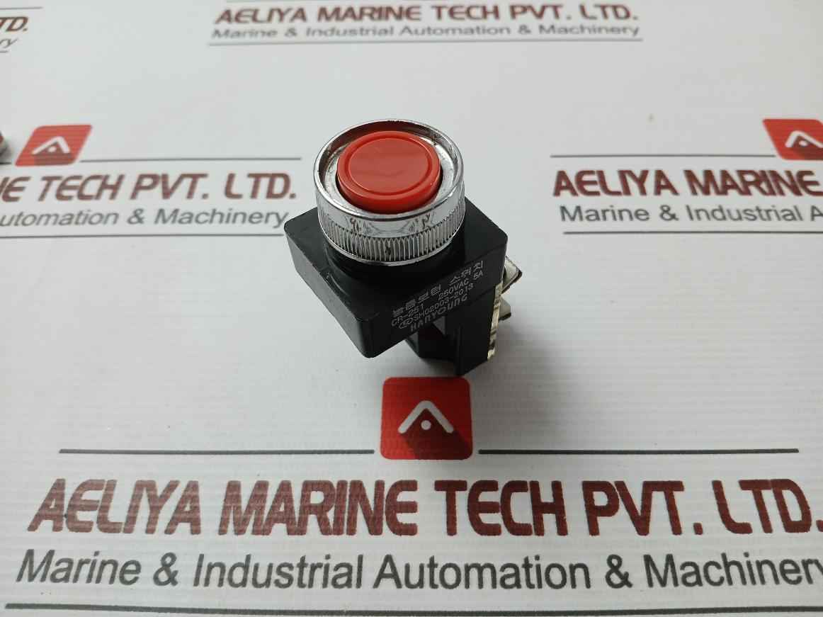 Hanyoung 250Vac 5A Push Button Switch Cr-251