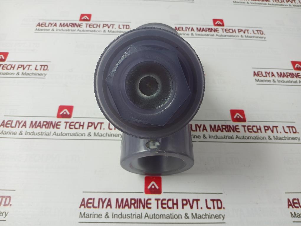 Hayward Ys00200S 2" Clear Pvc Y Strainer Clembar11