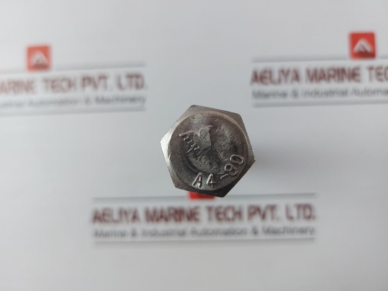 Hexagon Screw 002117.19400 Macgregor