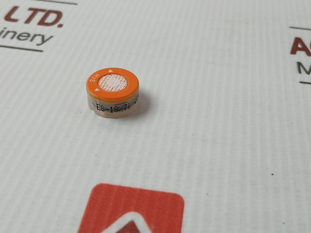 Hydrogen Sulfide Sensor Es-1827I Riken Keiki