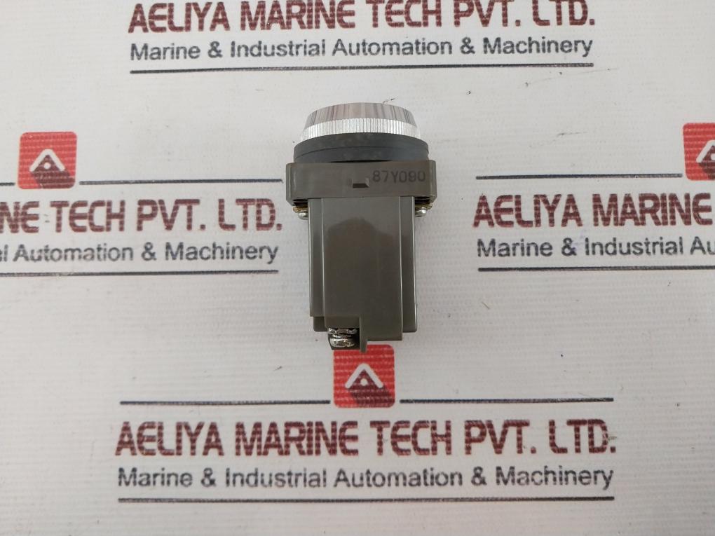 Idec Apn116R Button Switch Control Unit 100/110V 50-60Hz