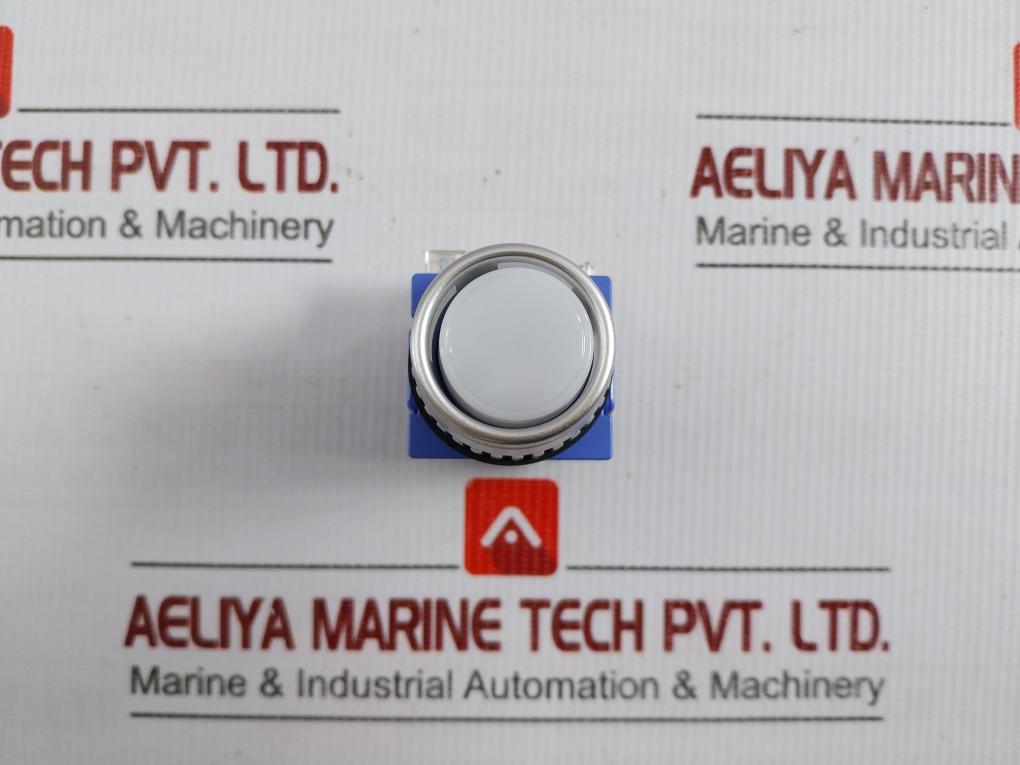 Illuminated Push Button Switch Ac 24V Yongsung Ysnpbl3-024A