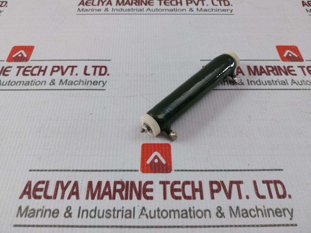 Iwaki Rwh40G Tube Resistor 10?J