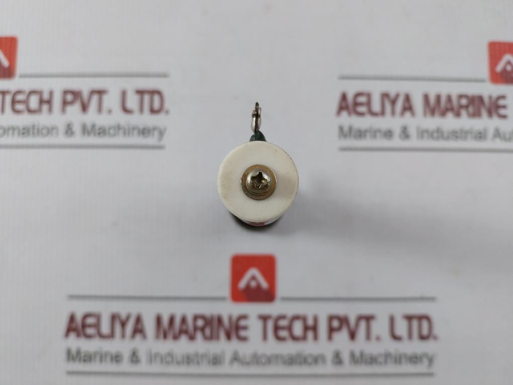 Iwaki Rwh40G Tube Resistor 10?J