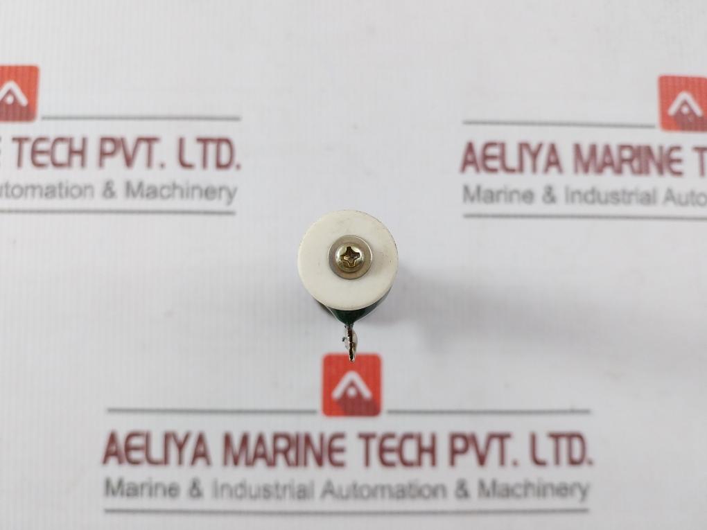 Iwaki Rwh40G Tube Resistor 2?J