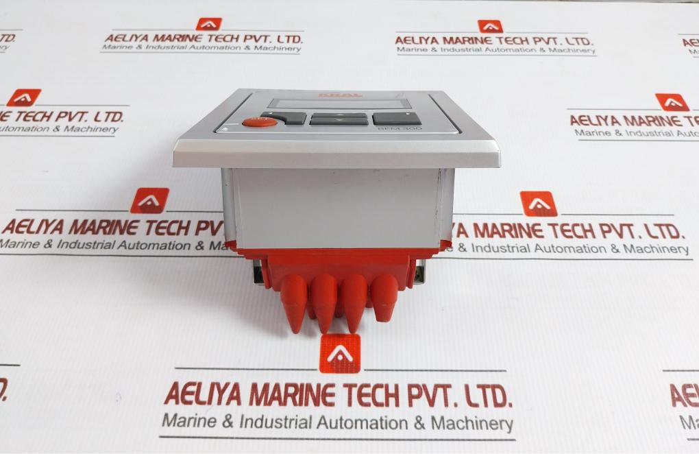 Kral Display Processing Unit 24Vdc 4-20Ma Bem 300