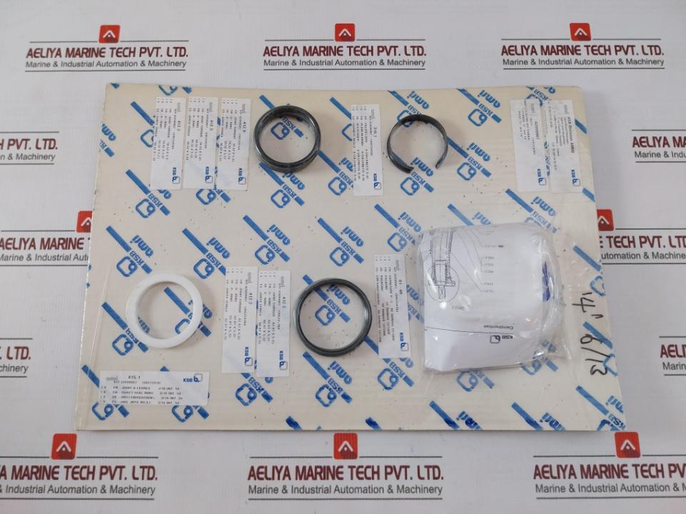Ksb 42099987 Shaft Sealing Kit Danais O-ring 62,87 X 5,33