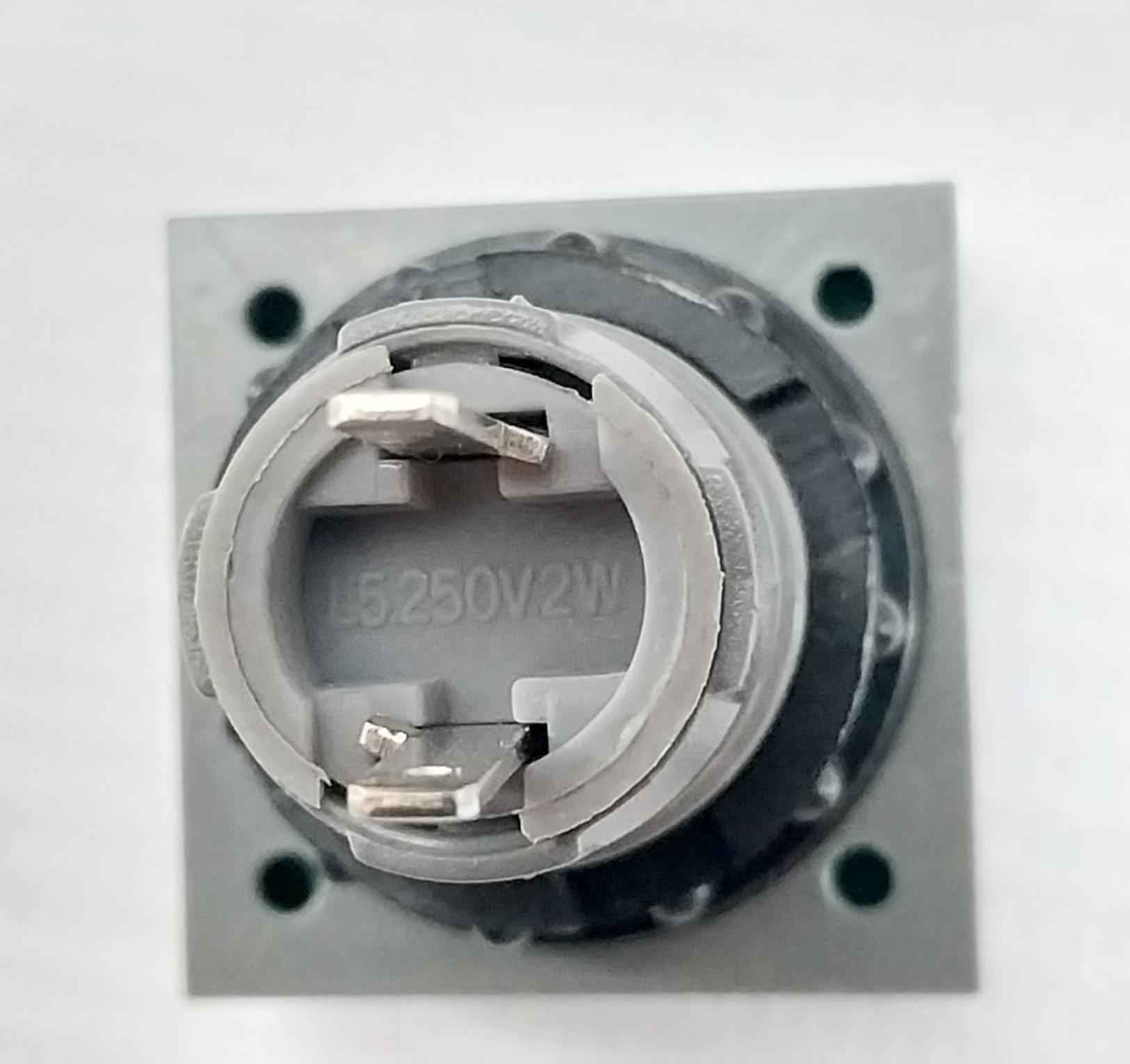 L5. 250V 2W Pushbutton Switch