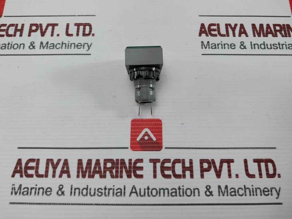 L5. 250V 2W Pushbutton Switch