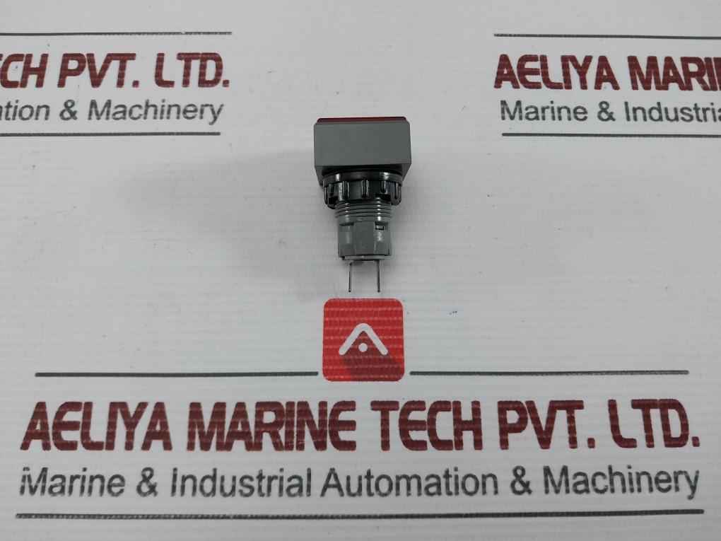 L5. 250V 2W Pushbutton Switch