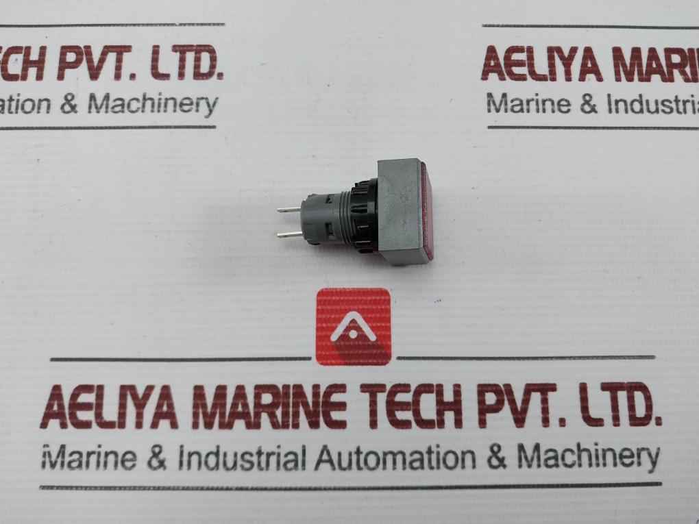 L5. 250V 2W Pushbutton Switch