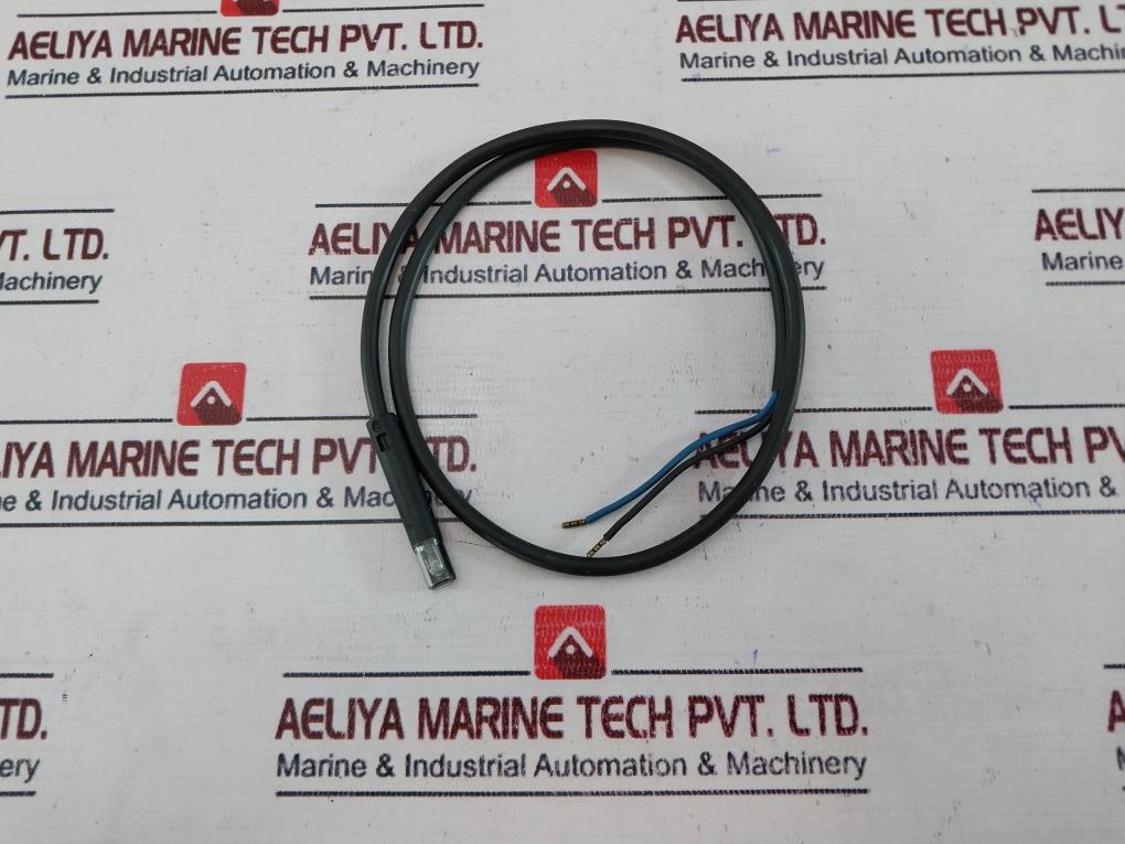 Landis & Gyr Qrb1 A-a070B70A Flame Sensor With Cable 7587